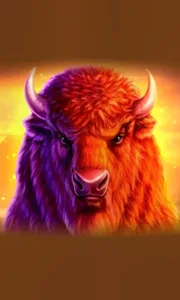 Buffalo 50