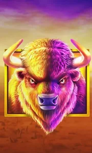 Buffalo King